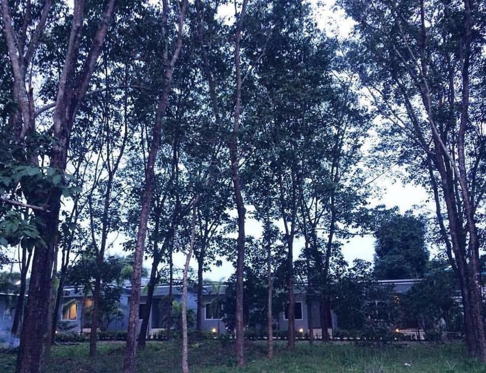Saiyuan Garden Resort Rawai Extérieur photo